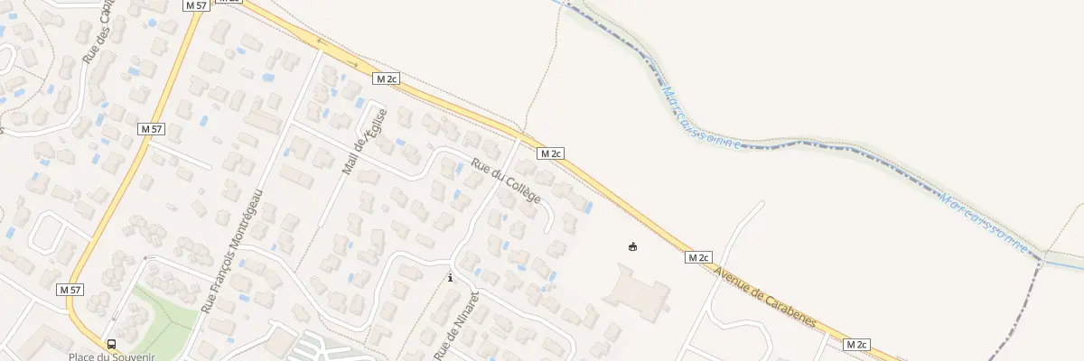 Plan du 19 Rue du Collège à Saint-Orens-de-Gameville