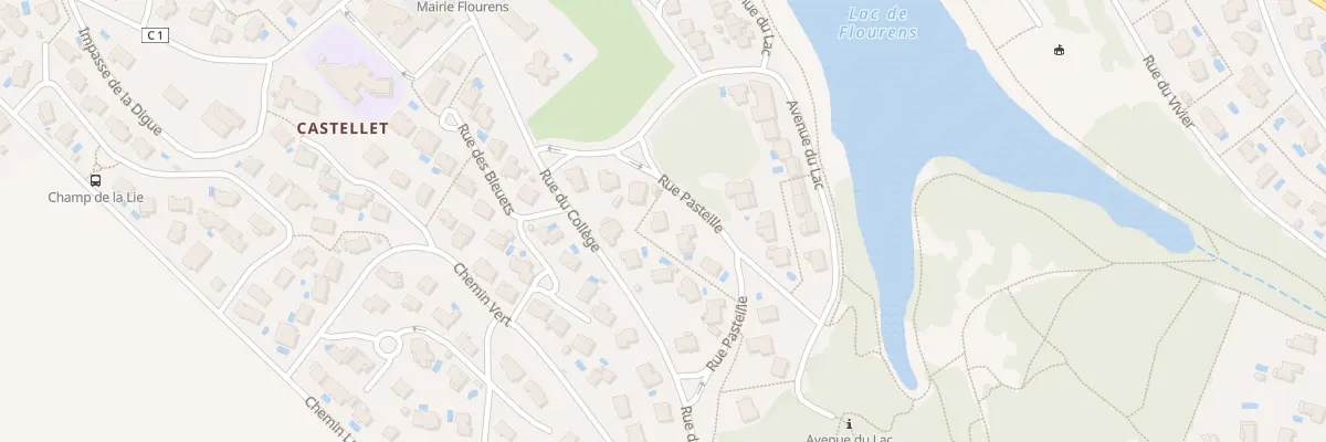 Plan du 4 Rue Pasteille à Flourens