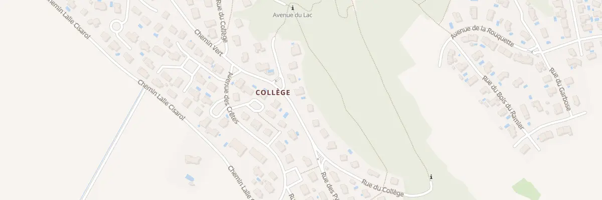 Plan du 29 Rue du Collège à Flourens