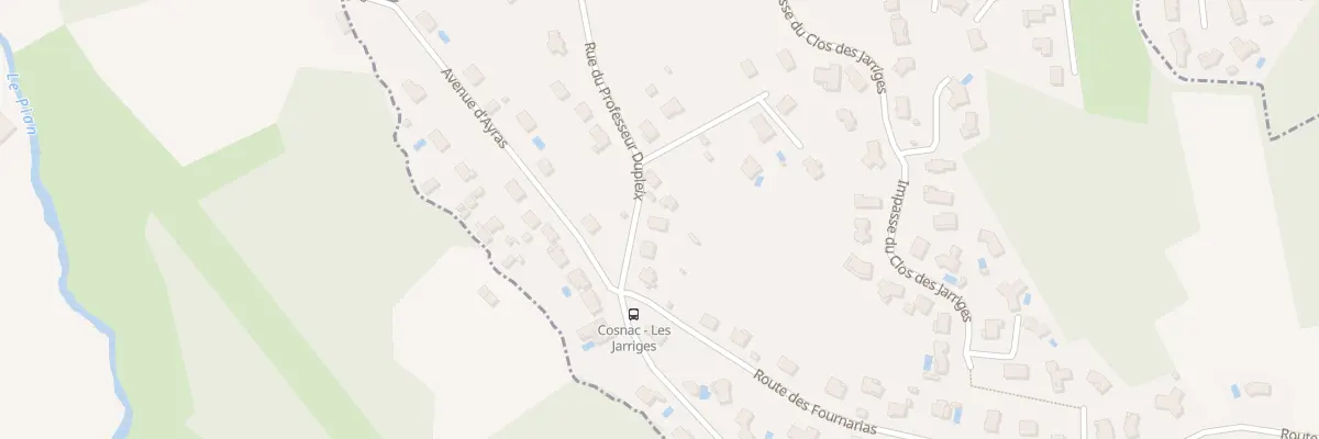 Plan du 23 Rue Du Professeur Dupleix à Cosnac