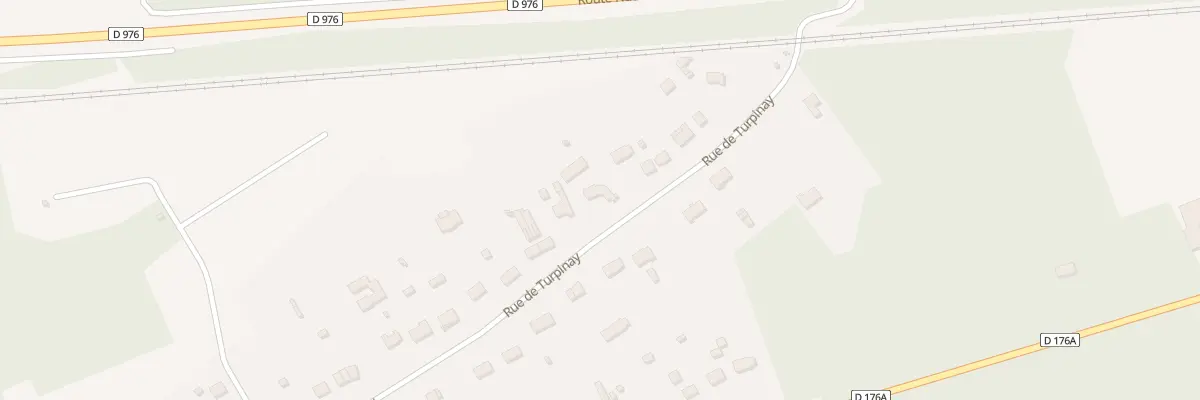 Plan du 31 Rue de Turpinay à Selles-sur-Cher