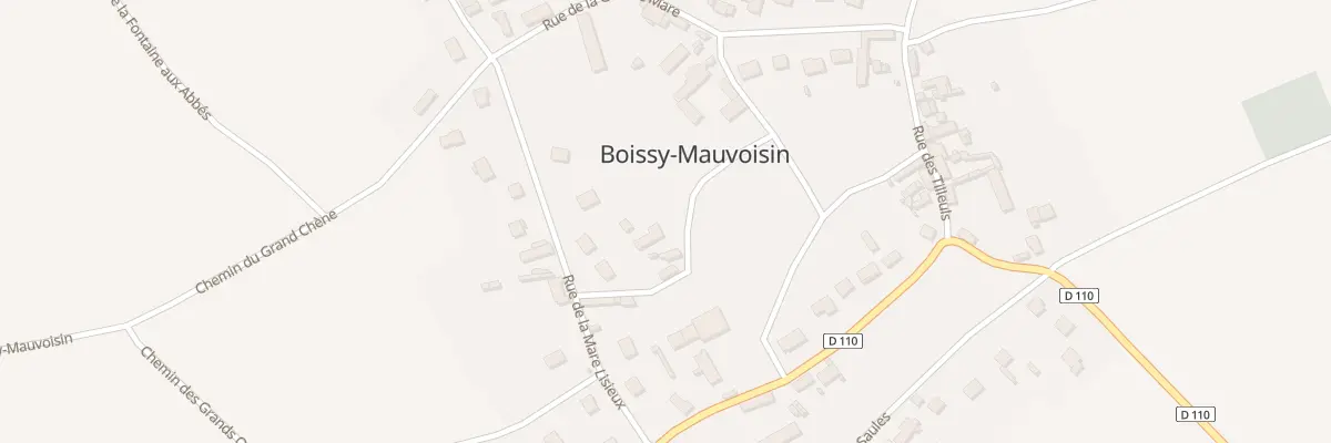 Plan du 1 Rle au Frenoye à Boissy-Mauvoisin