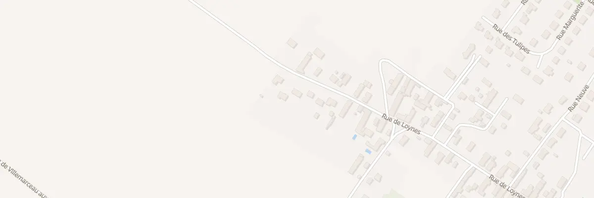 Plan du 35 Rue de Loynes à Villorceau