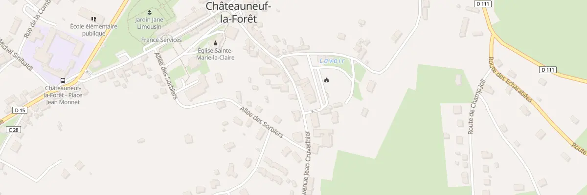 Plan du 22 Av Jean Cruveilhier à Châteauneuf-la-Forêt