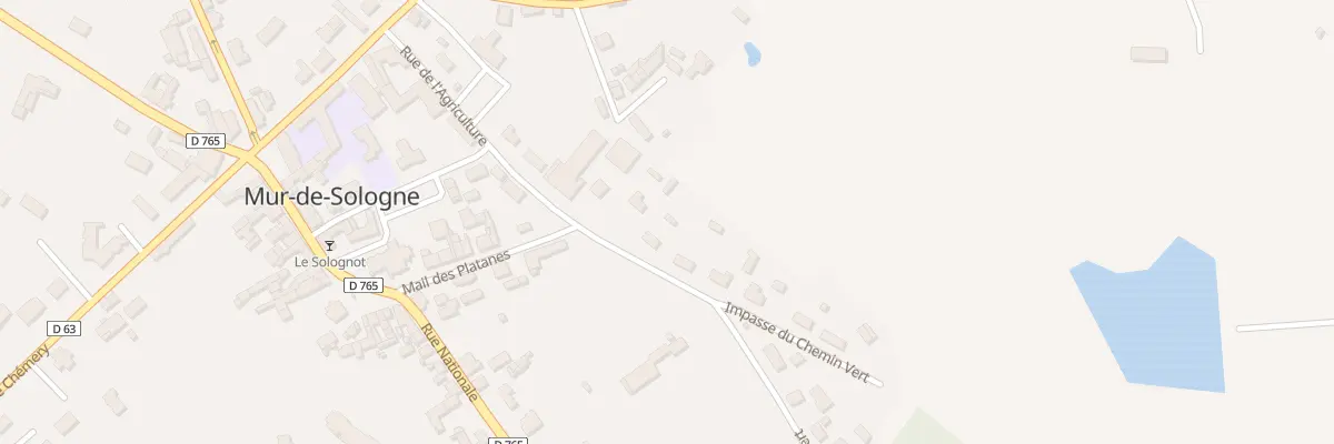 Plan du 39 Rue du Chemin Vert à Mur-de-Sologne