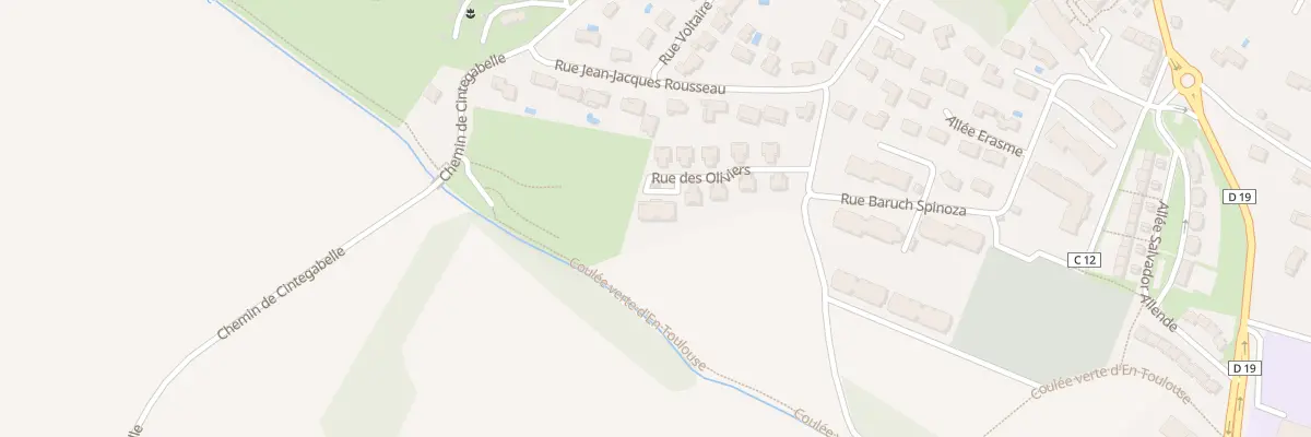 Plan du 19 Rue des Oliviers à Nailloux