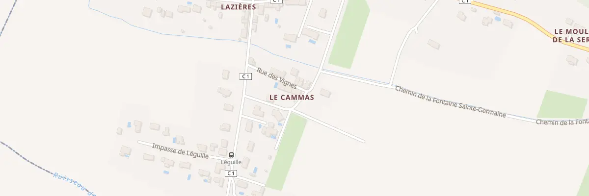 Plan du 21 Rue des Vignes à Vieillevigne