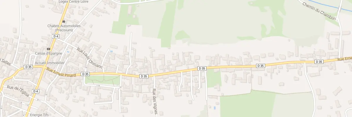 Plan du 101 Rue Ernest Pinard à Chabris