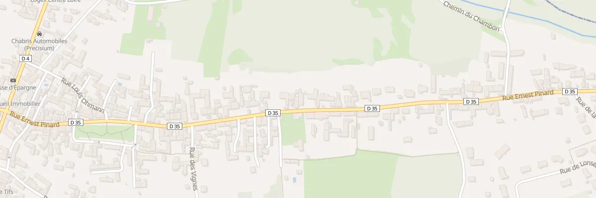 Plan du 119 Rue Ernest Pinard à Chabris