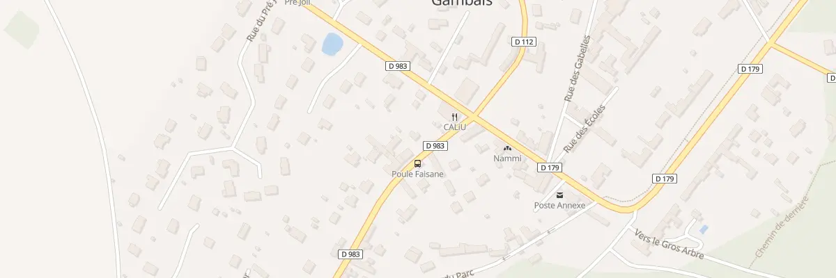 Plan du 6 Rue de Goupigny à Gambais