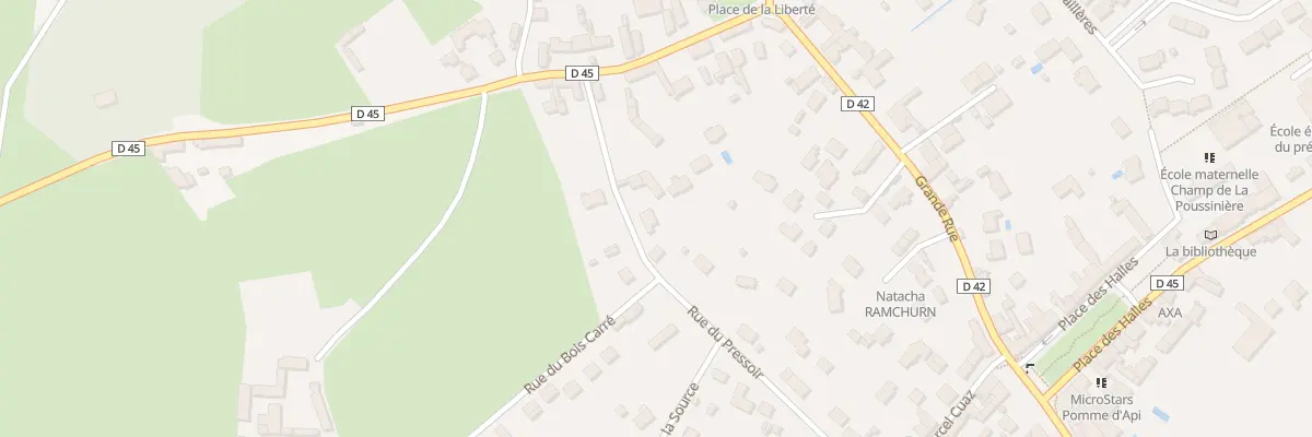 Plan du 20 Rue du Pressoir à Orgerus