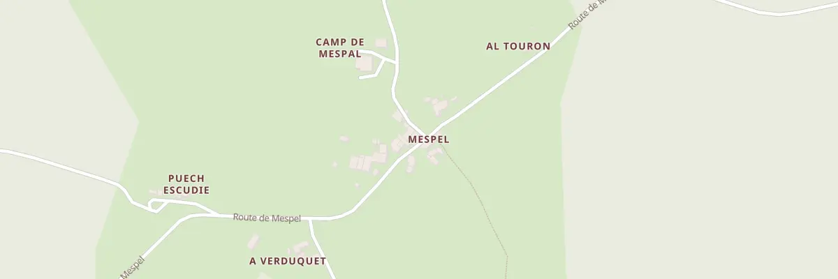 Plan du 2281 Rte de Mespel à Larroque