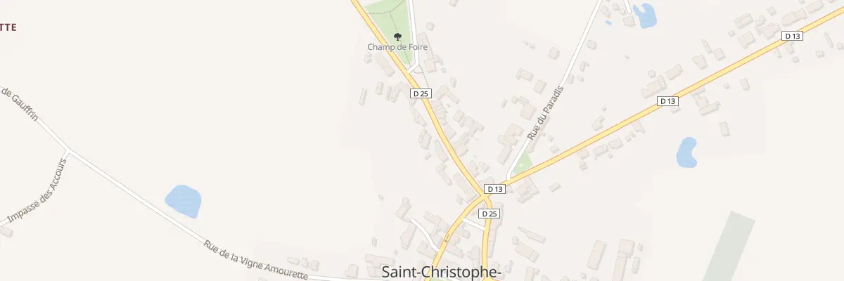 Plan du 12 Rue Jean Viallard à Saint-Christophe-en-Bazelle