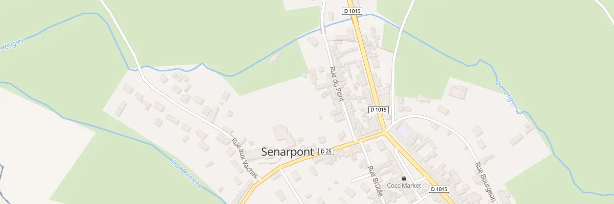 Plan du 69 Rue du Pont à Senarpont