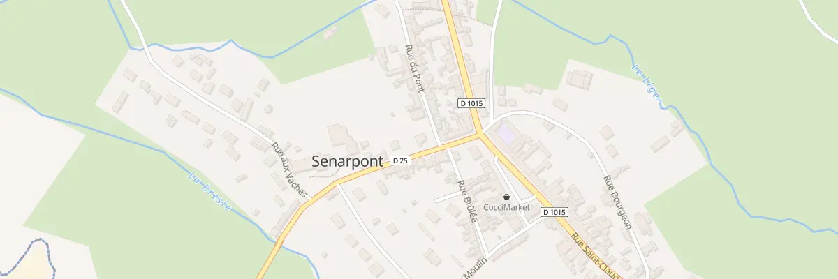 Plan du 7 Rue du Pont à Senarpont