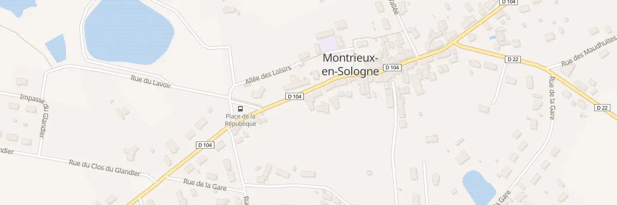 Plan du 35 Rue Lancelot du Lac à Montrieux-en-Sologne