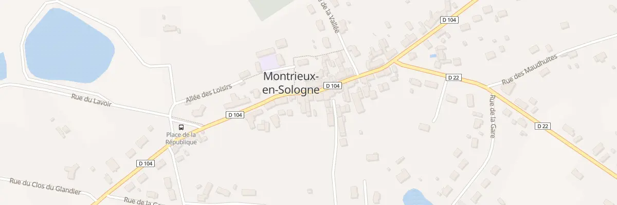 Plan du 49 Rue Lancelot du Lac à Montrieux-en-Sologne