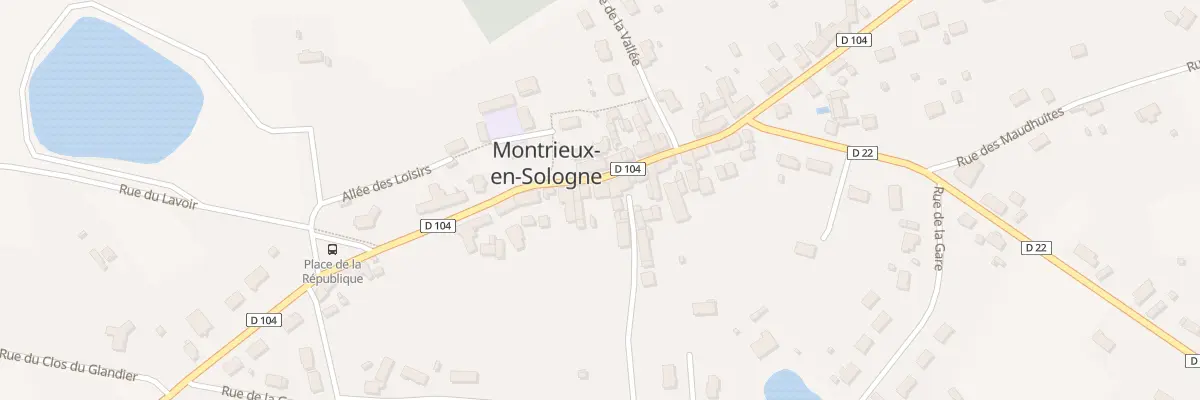 Plan du 51 Rue Lancelot du Lac à Montrieux-en-Sologne