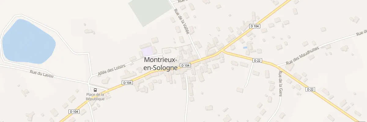 Plan du 36 Rue Lancelot du Lac à Montrieux-en-Sologne
