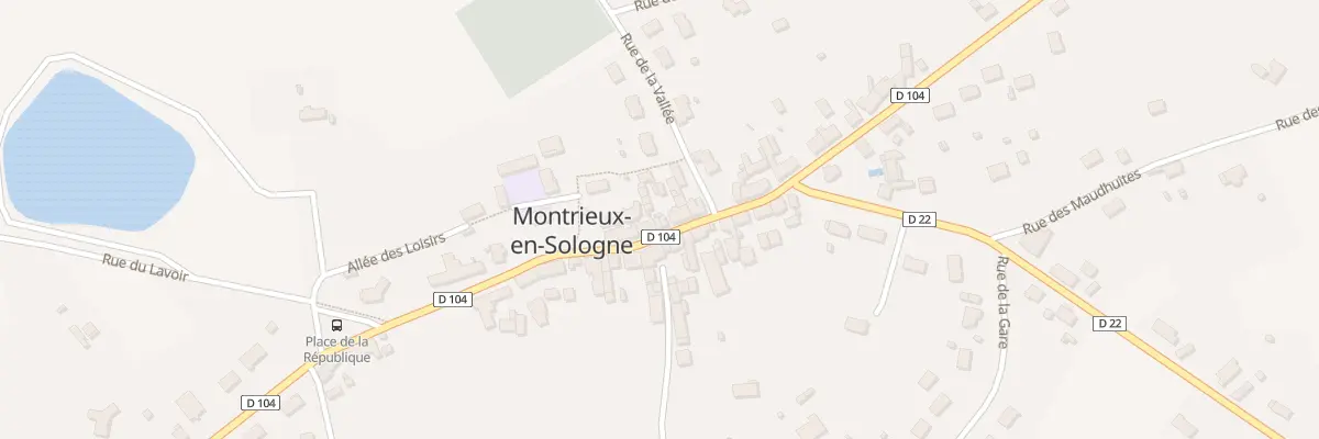 Plan du 38 Rue Lancelot du Lac à Montrieux-en-Sologne