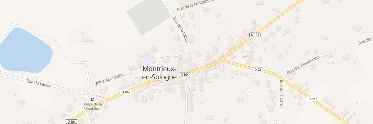 Plan du 40 Rue Lancelot du Lac à Montrieux-en-Sologne