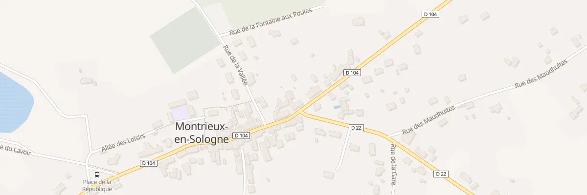 Plan du 48 Rue Lancelot du Lac à Montrieux-en-Sologne