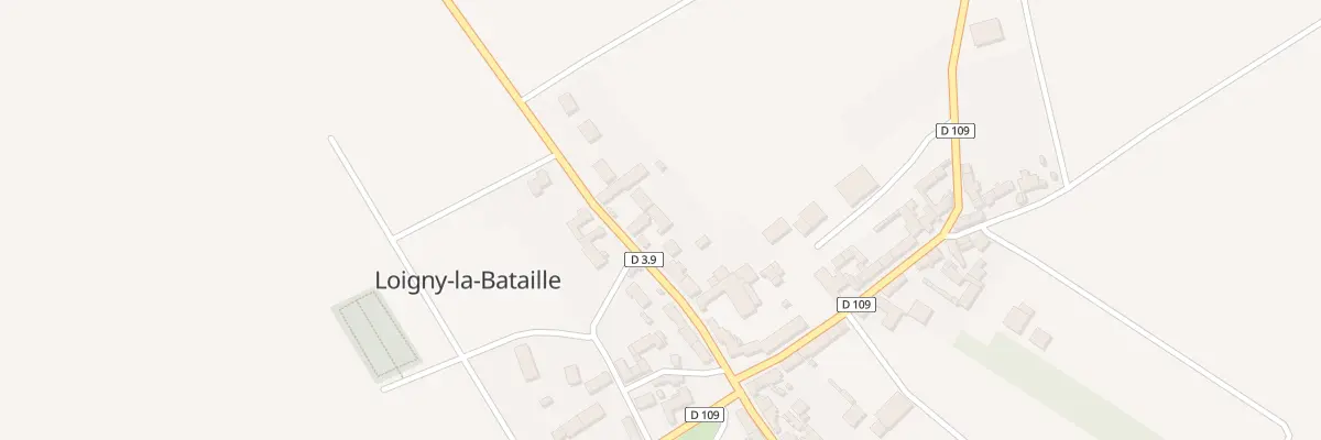 Plan du 49 Rue du Gen de Sonis à Loigny-la-Bataille