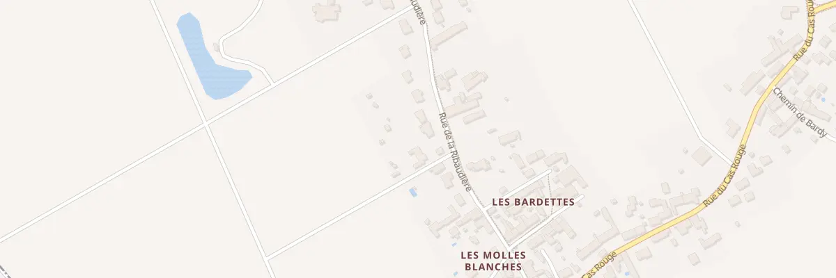 Plan du 40 Rue de la Ribaudière à Chaingy