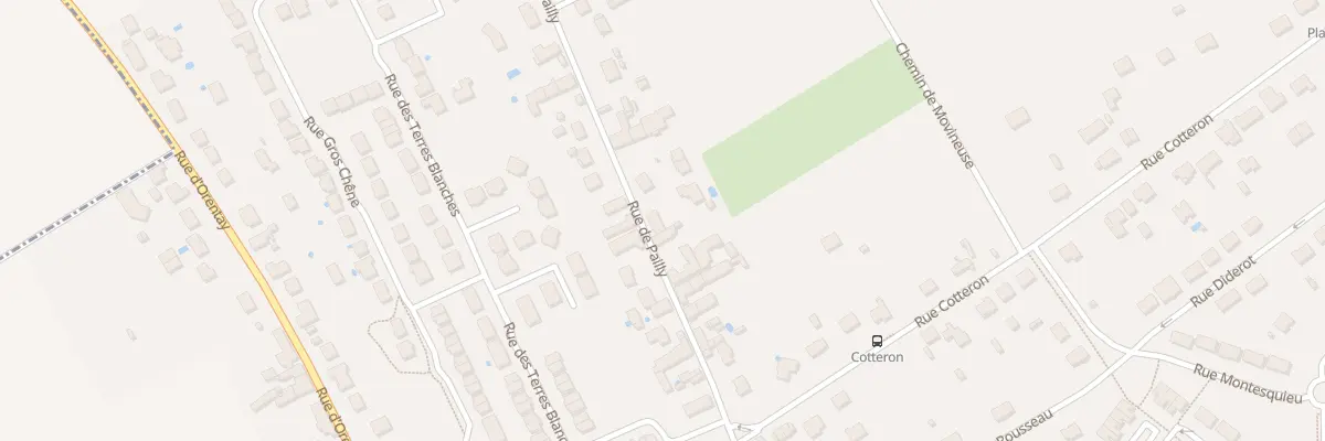 Plan du 42 Rue de Pailly à La Chapelle-Saint-Mesmin