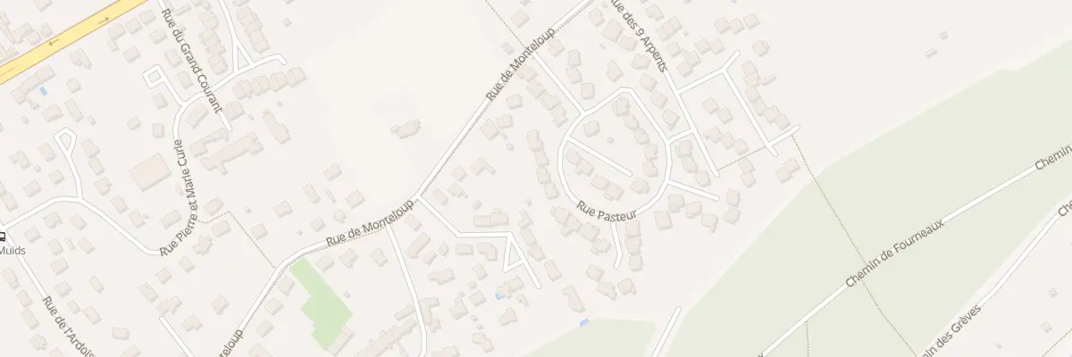 Plan du 14 Rue Pasteur à La Chapelle-Saint-Mesmin