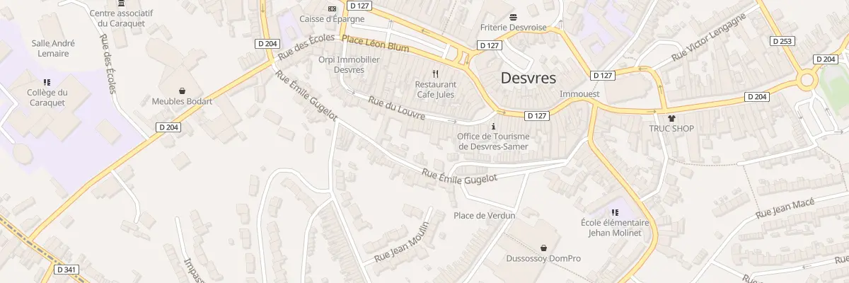 Plan du 21 Rue du Louvre à Desvres