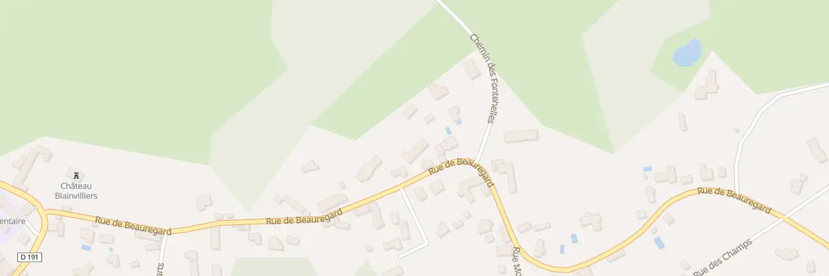 Plan du 19T Rue de Beauregard aux Mesnuls
