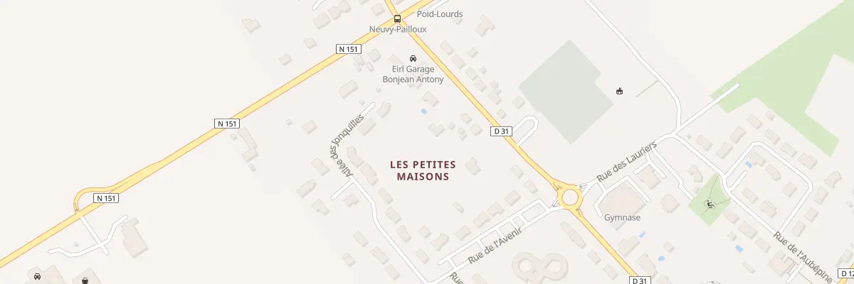 Plan du 29 Rue Pasteur à Neuvy-Pailloux