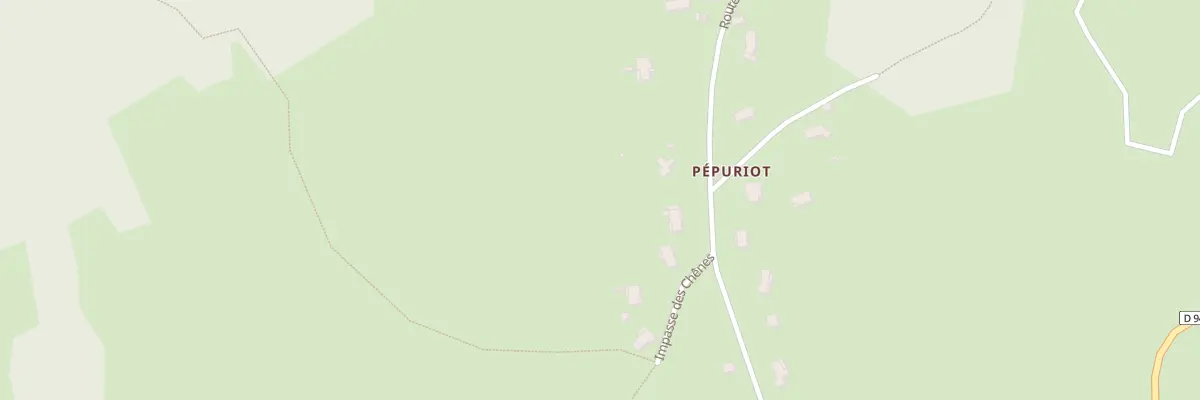 Plan du 6133F Pepuriot à Saint-Jean-Lagineste