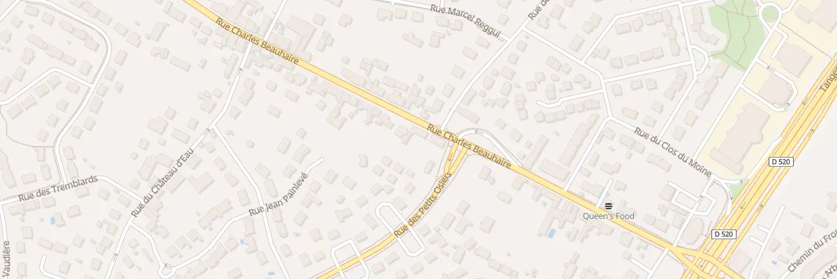 Plan du 161 Rue Charles Beauhaire à Saint-Jean-de-la-Ruelle