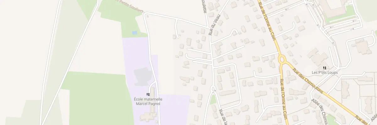 Plan du 597 Rue du Veau à Saran