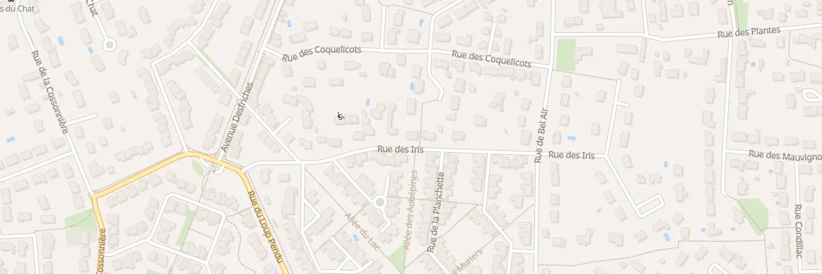 Plan du 10 Rue des Iris à Saint-Pryvé-Saint-Mesmin