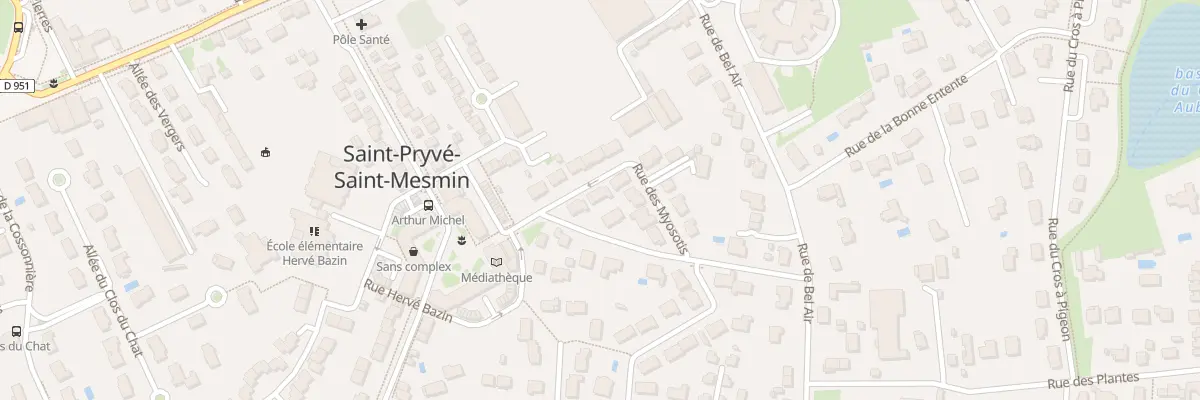 Plan du 10 Rue des Myosotis à Saint-Pryvé-Saint-Mesmin