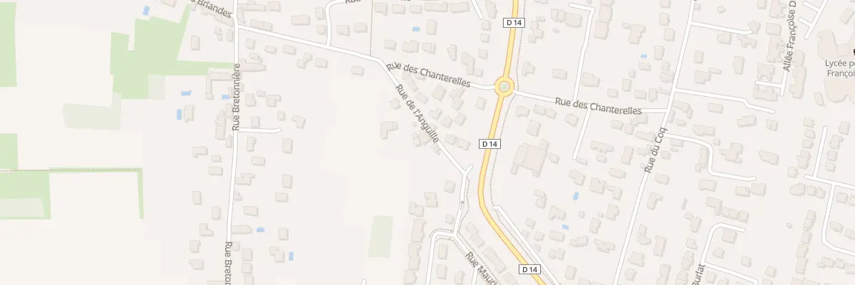 Plan du 717 Rue de l’Anguille à Olivet