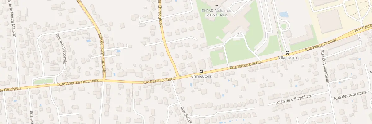 Plan du 1346 Rue Passe Debout à Saran