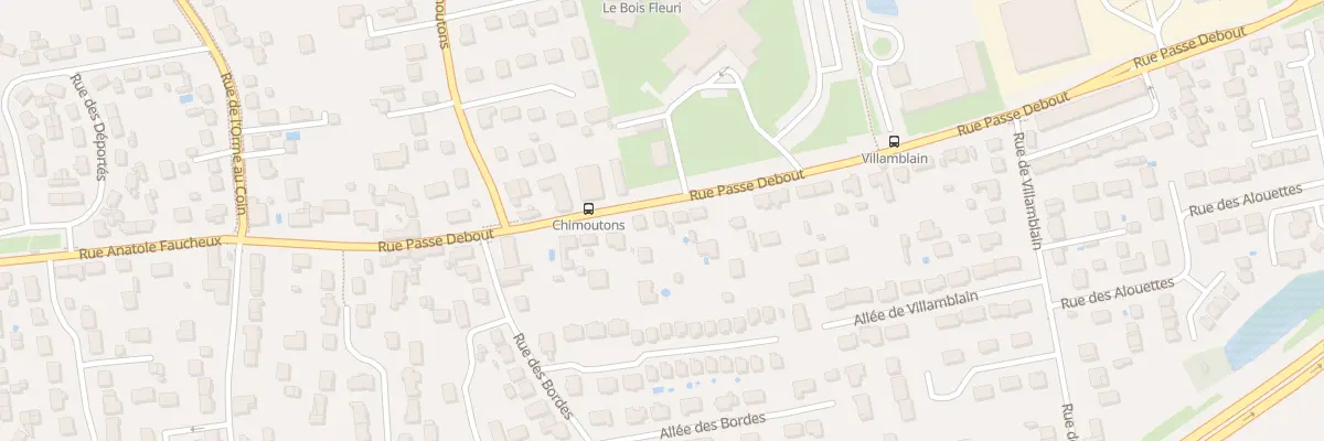 Plan du 1251 Rue Passe Debout à Saran