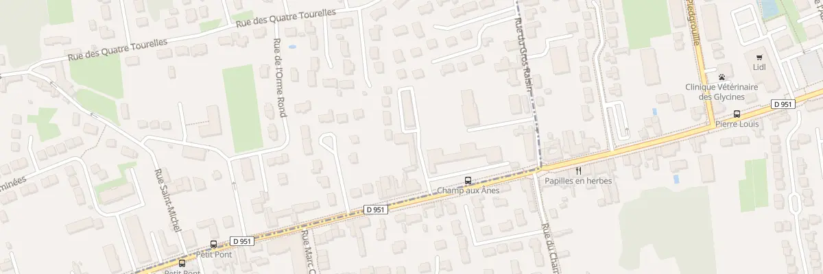 Plan du 56B Rte de St Mesmin à Saint-Pryvé-Saint-Mesmin
