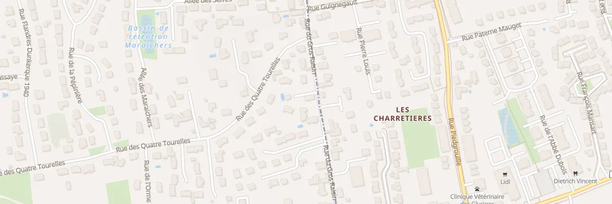 Plan du 22 Rue du Gros Raisin à Saint-Pryvé-Saint-Mesmin