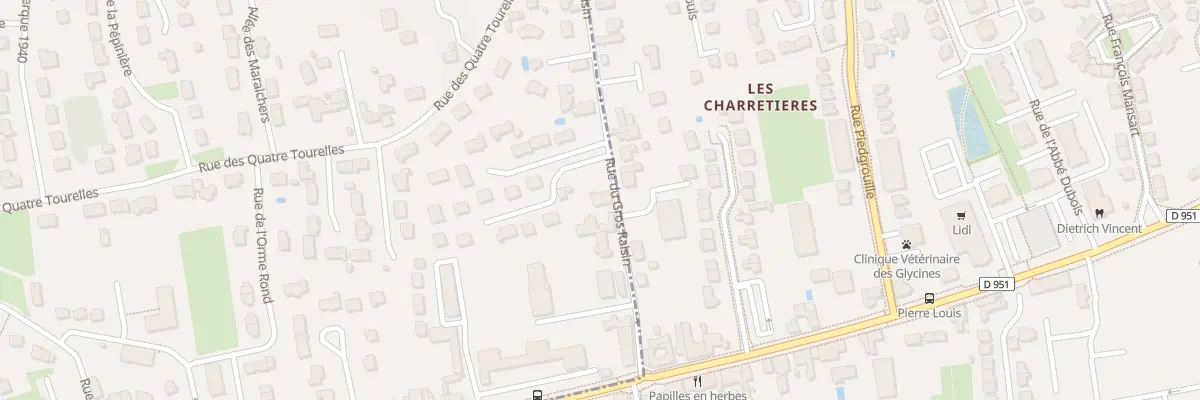 Plan du 26 Rue du Gros Raisin à Saint-Pryvé-Saint-Mesmin