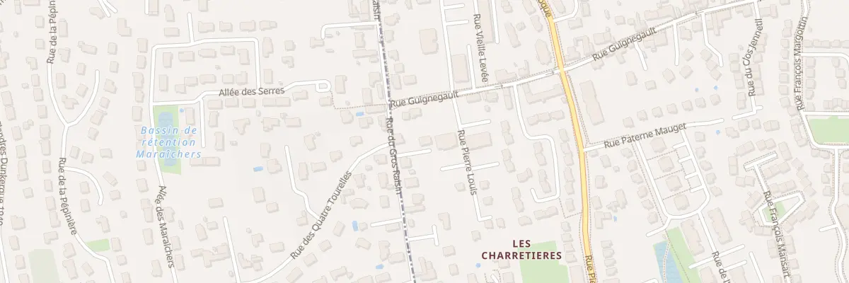 Plan du 29B Rue du Gros Raisin à Orléans