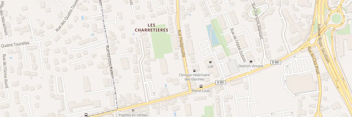 Plan du 17 Rue Piedgrouille à Orléans