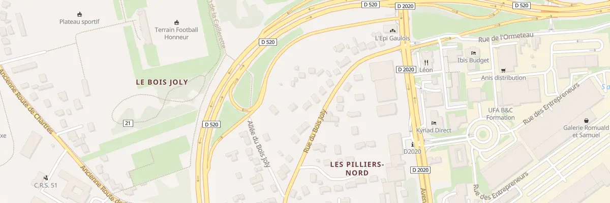 Plan du 441 Rue du Bois Joly à Saran