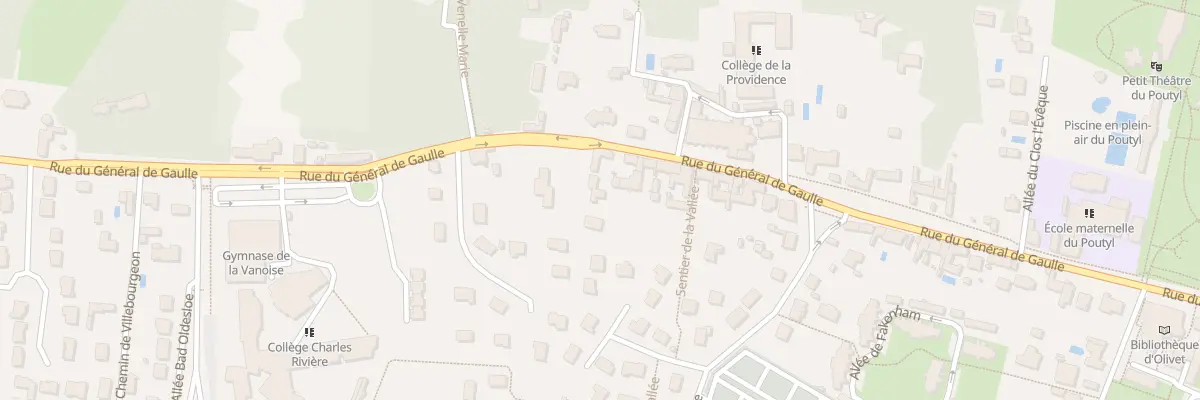 Plan du 843 Rue du Gen de Gaulle à Olivet