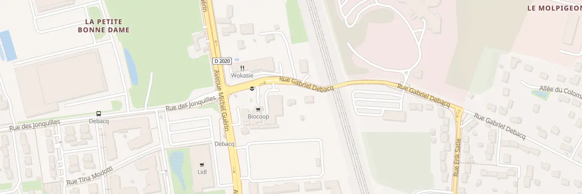 Plan du 120 Rue Gabriel Debacq à Saran