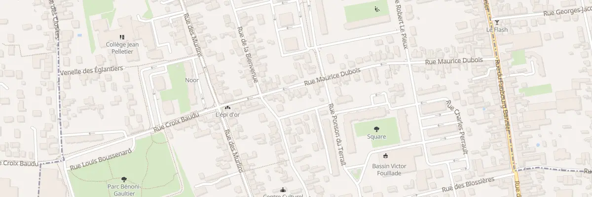 Plan du 47 Rue Maurice Dubois à Orléans